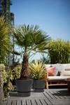 greenville rond 30cm living noir